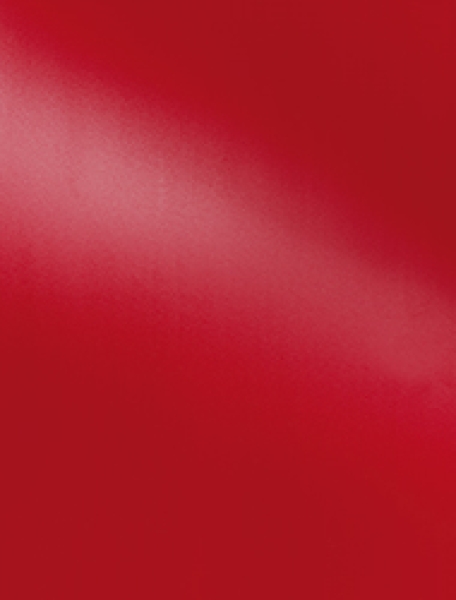 Bindefolie blickdicht PP Opaque A4 rot matt 0,30 mm - BBS*
