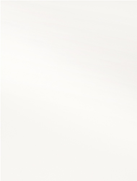 Bindefolie blickdicht PP Opaque A4 weiss matt 0,30 mm - BBS*