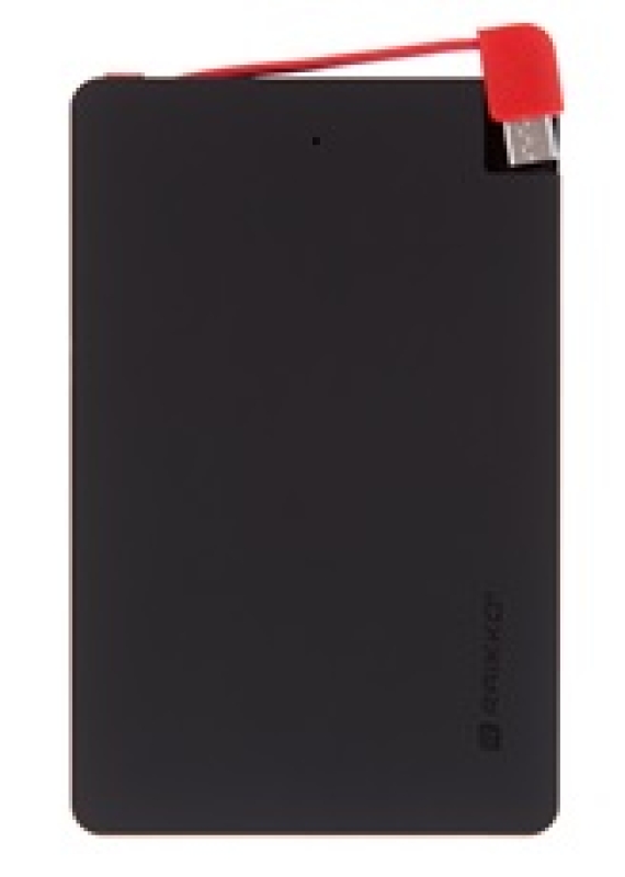 Mobile Charger USB AccuPack 2500 - Kopie - Kopie