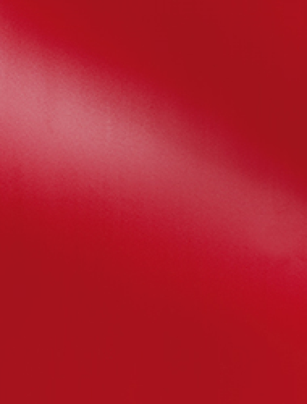 Bindefolie blickdicht PP Opaque A4 rot matt 0,30 mm