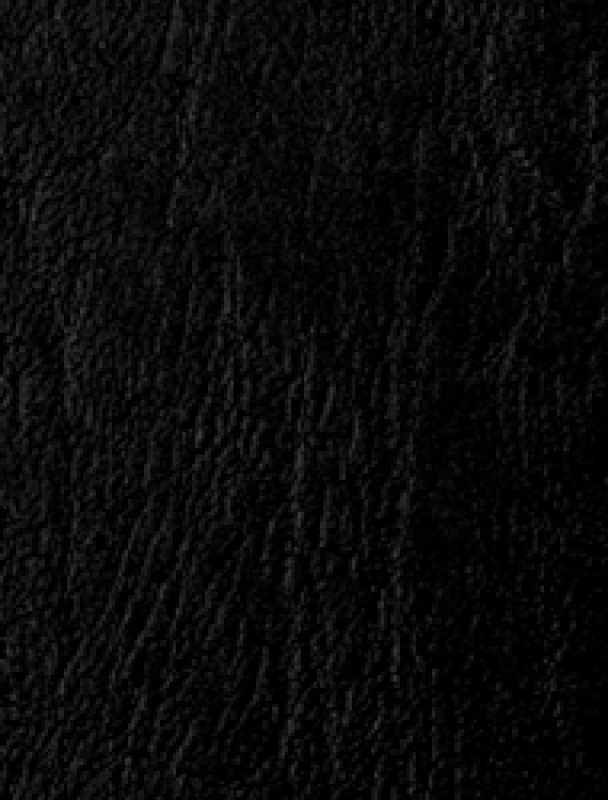 Bindekarton A4 schwarz Ledergenarbt 270 g/m²