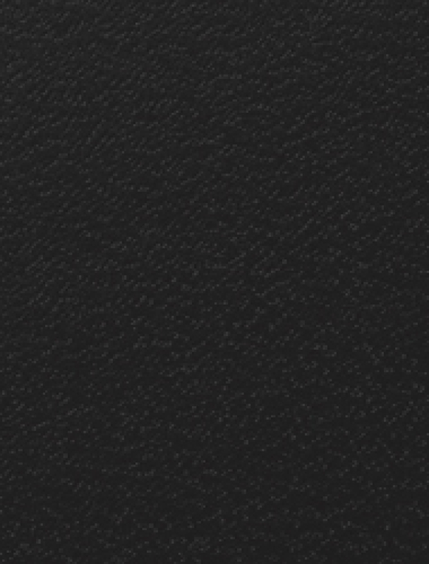 Bindekarton A4 schwarz Nobless Regency 325 g/m² - Kopie